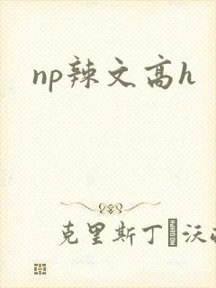 np辣文高h