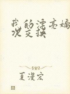 我的漂亮娇妻初次交换