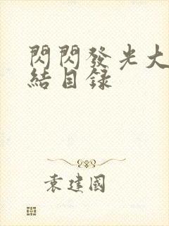 闪闪发光大团圆结目录封面