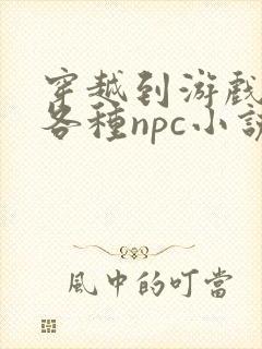 穿越到游戏里和各种npc小说
