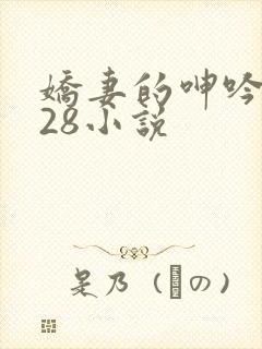 娇妻的呻吟1—28小说