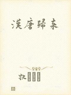 汉唐归来
