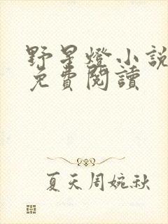 野星灯小说全文免费阅读