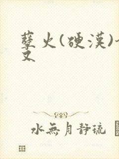 孽火(硬汉)今又封面
