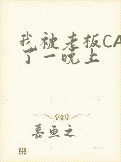 我被老板CAO了一晚上