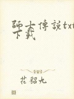 师士传说txt下载封面