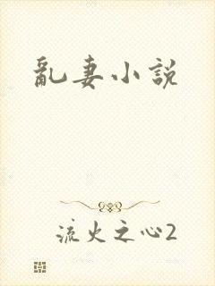 乱妻小说