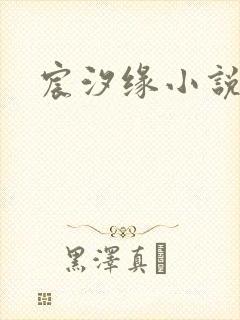 宸汐缘小说封面
