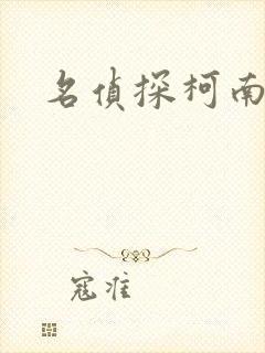 名侦探柯南h
