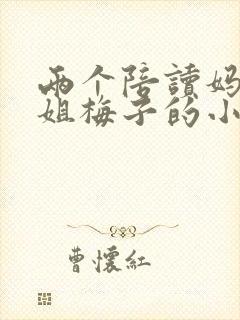 两个陪读妈妈赵姐梅子的小说封面
