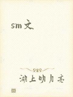 sm文封面