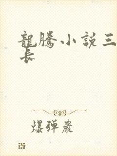龙腾小说三宝局长封面