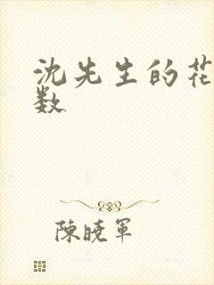 沈先生的花式调数封面