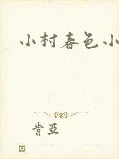 小村春色小说