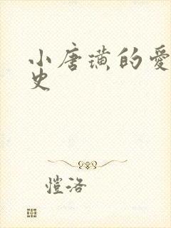 小唐璜的爱情历史封面