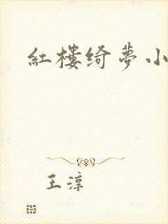 红楼绮梦小说