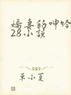 娇妻的呻吟1—28小说