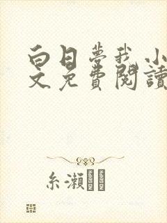 白日梦我小说全文免费阅读封面