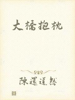 大桥抱枕