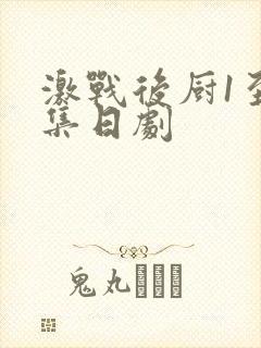 激战后厨1至5集日剧