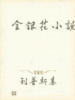 金银花小说乐可封面