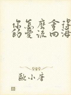 你怎么舍得让我的爱流向海