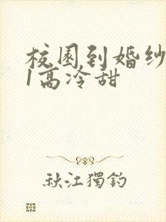 校园到婚纱1V1高冷甜