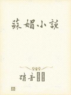 苏媚小说