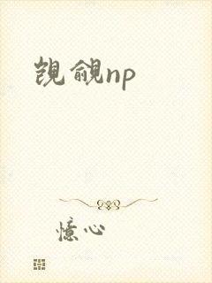 觊觎np