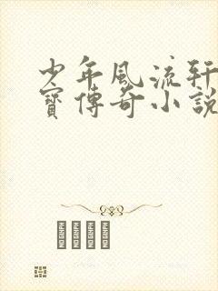 少年风流轩辕大宝传奇小说