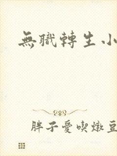 无职转生小说