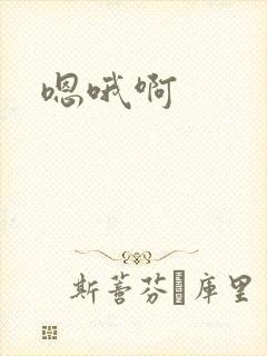 嗯哦啊封面