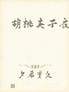胡桃夹子夜未眠
