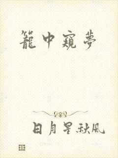 笼中窥梦