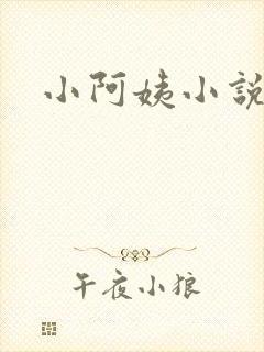 小阿姨小说封面