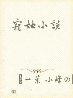 宠她小说