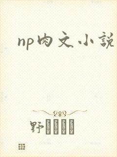 np肉文小说封面