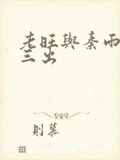 老旺与秦雨三进三出封面