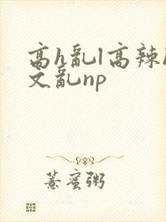 高h乱l高辣h文乱np