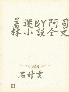 着迷BY阿司匹林小说全文免费阅读
