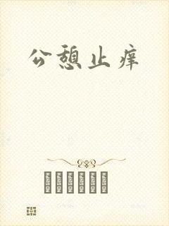 公憩止痒封面
