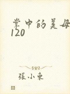掌中的美母版主120封面