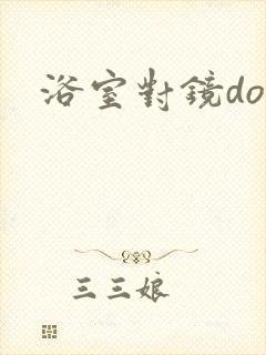 浴室对镜doi封面