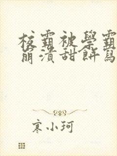 校霸被学霸玩到崩溃甜饼写手封面