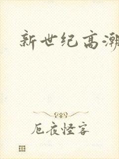 新世纪高潮战队