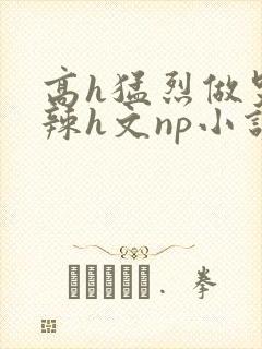 高h猛烈做哭高辣h文np小说
