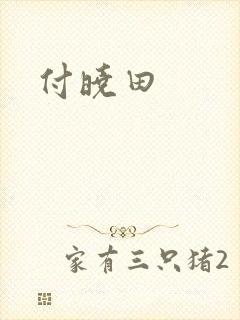 付晓田