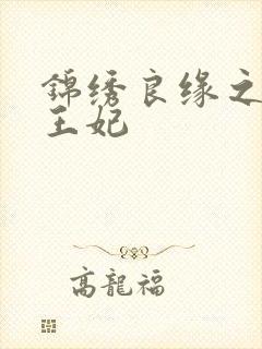 锦绣良缘之北地王妃