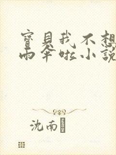 宝贝我不想带小雨伞啦小说