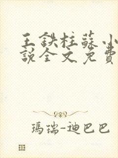 王铁柱苏小汐小说全文免费阅读最新章节封面